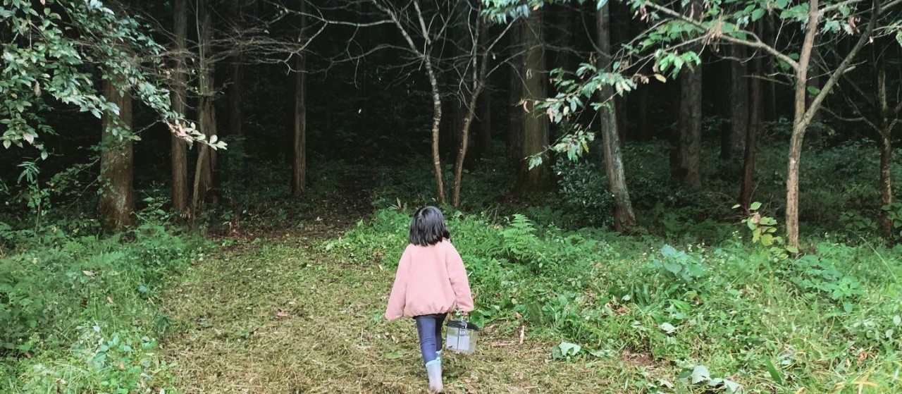里山ハイキング